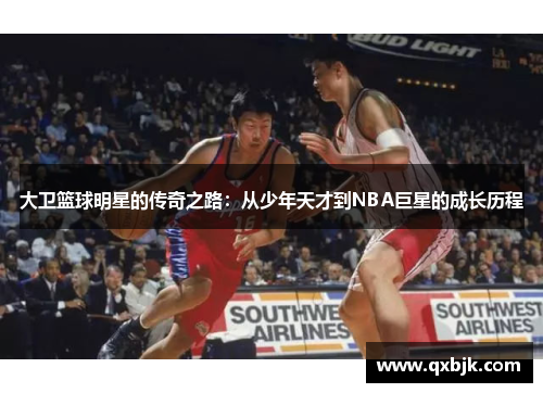 大卫篮球明星的传奇之路：从少年天才到NBA巨星的成长历程
