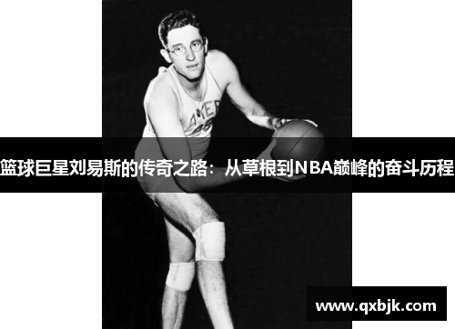 篮球巨星刘易斯的传奇之路：从草根到NBA巅峰的奋斗历程